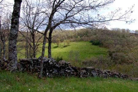 Casa Da Fonte De Travanca Travanca  Kültér fotó